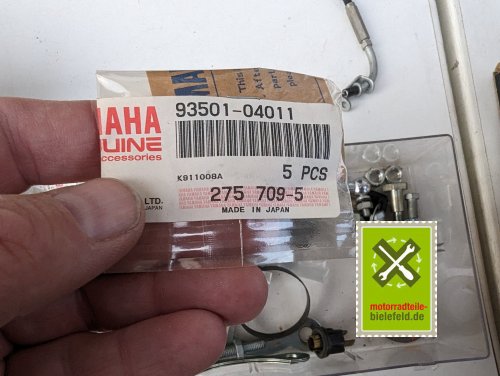 PXL_20240528_170854300